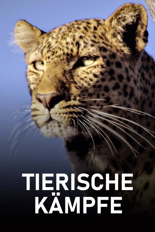 Tierische Kämpfe Season 1 poster