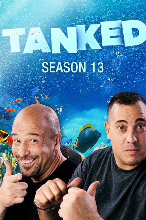 Tanked Season 13 poster