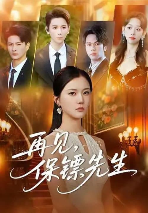 再见，保镖先生 Season 1 poster
