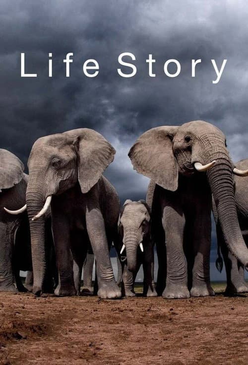Life Story Season 1 poster
