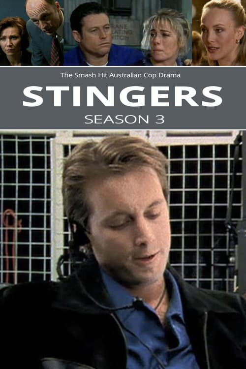 Stingers Season 3 poster