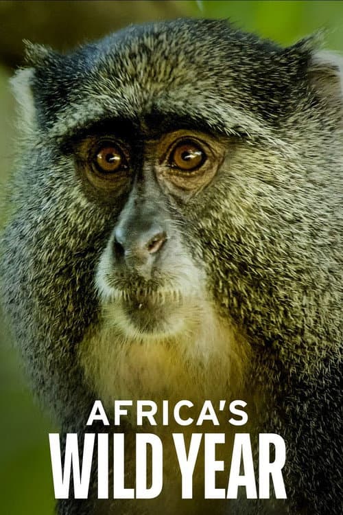 Africa's Wild Year Season 1 poster