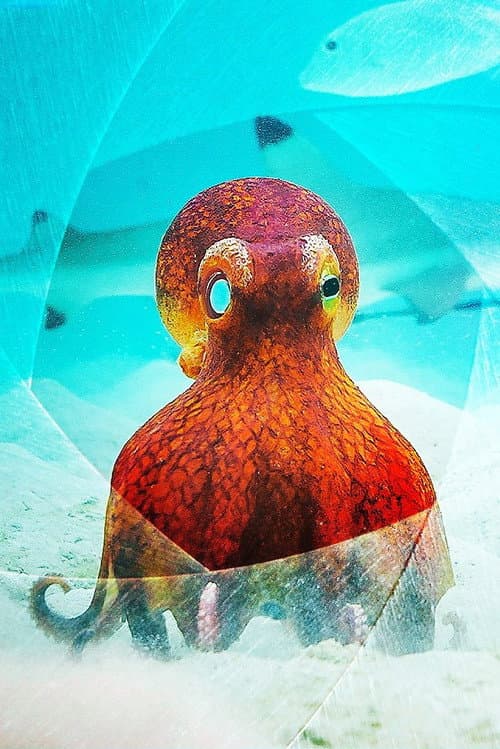 Spy in the Ocean, A Nature Miniseries Series 1 poster