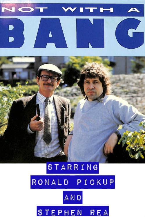 Not with a Bang Season 1 poster