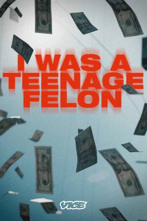 I Was a Teenage Felon Season 1 poster