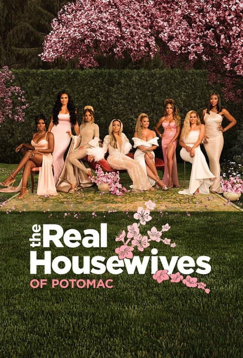 The Real Housewives of Potomac Season 8 poster