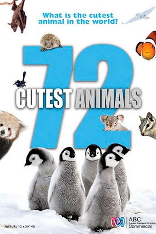 72 Cutest Animals Season 1 poster