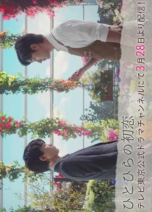 Hitohira's First Love Season 1 poster