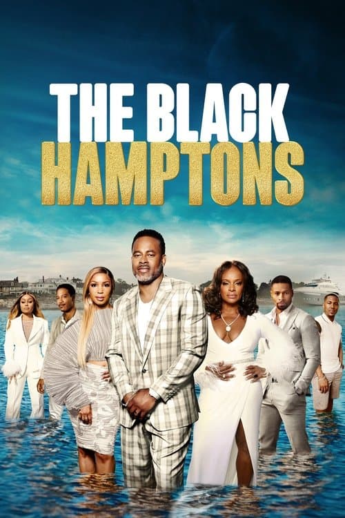 The Black Hamptons Season 2 poster