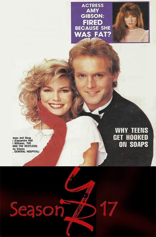 The Young and the Restless Season 17 poster