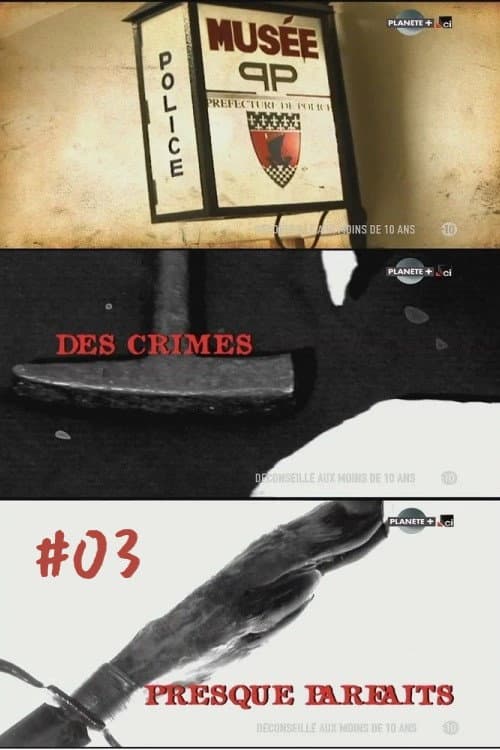 Des crimes presque parfaits Season 3 poster