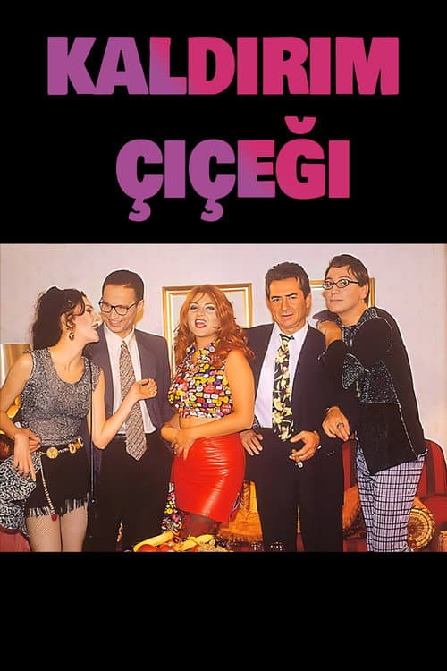 Kaldırım Çiçeği Season 1 poster