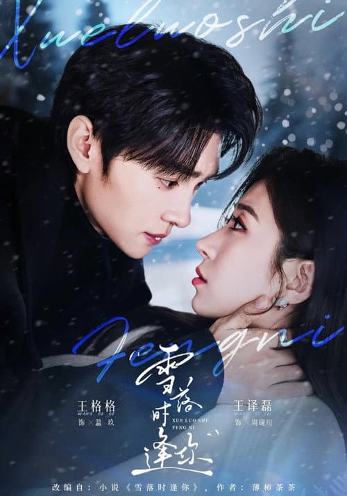 雪落时逢你 Season 1 poster