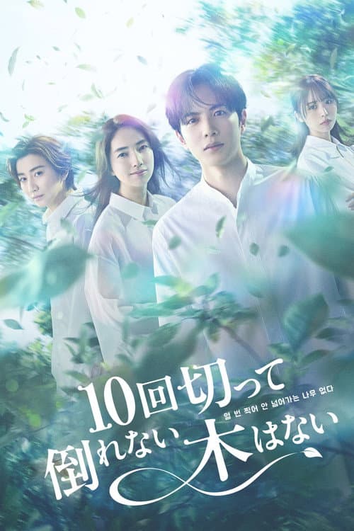 Ten Strokes to You Season 1 poster