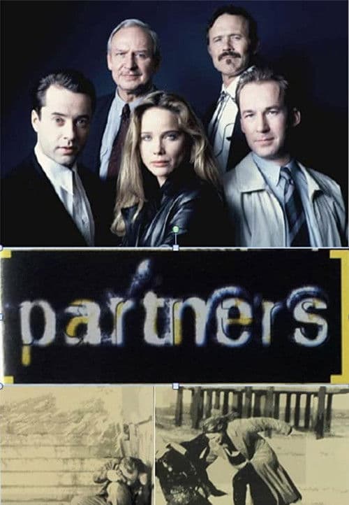 Die Partner Season 1 poster