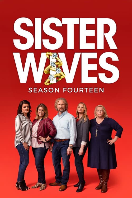 Sister Wives Season 11 poster