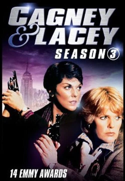 Cagney & Lacey Season 3 poster