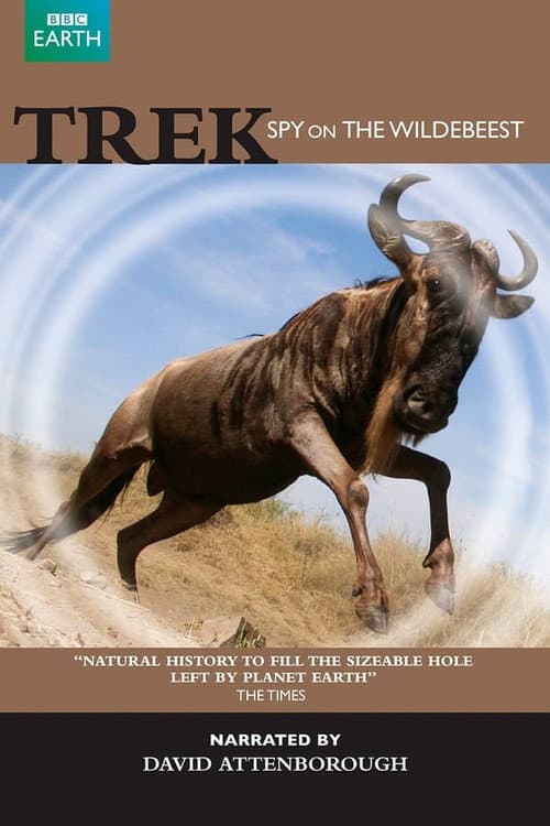 Trek: Spy on the Wildebeest Season 1 poster