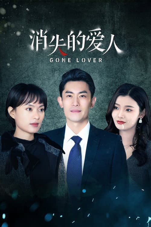 Missing Lover Season 1 poster