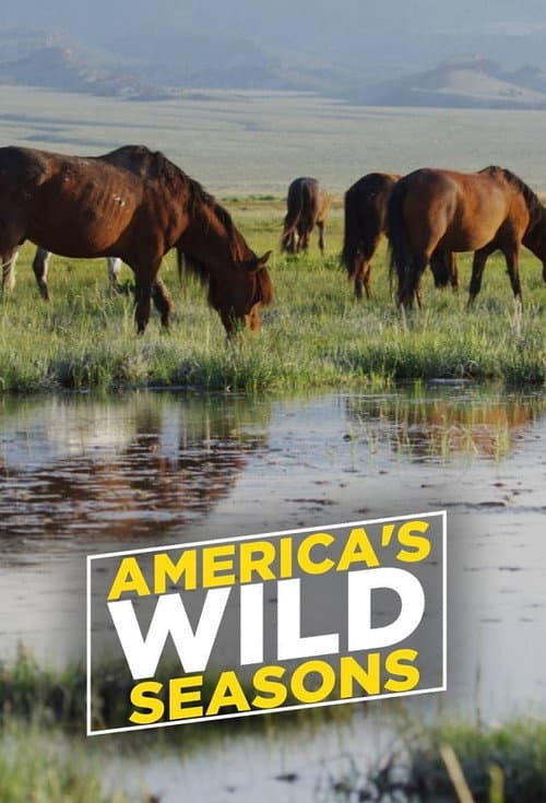 America's Wild Seasons Season 1 poster