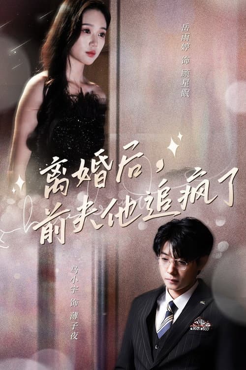 离婚后，前夫他追疯了 Season 1 poster