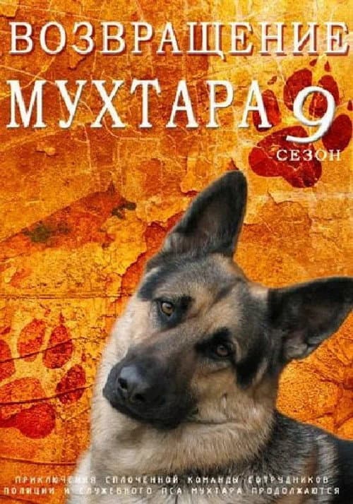 Mukhtar's Return Season 9 poster