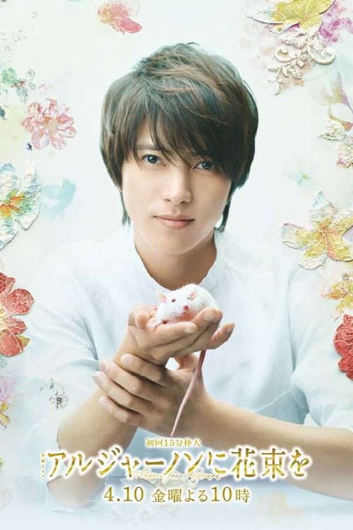 Flowers for Algernon Season 1 poster