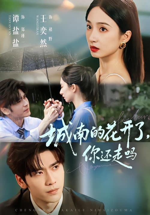 城南的花开了，你还走吗 Season 1 poster