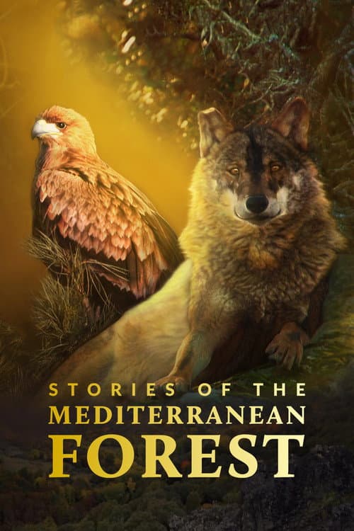 Stories of the Mediterranean Forest Season 1 poster