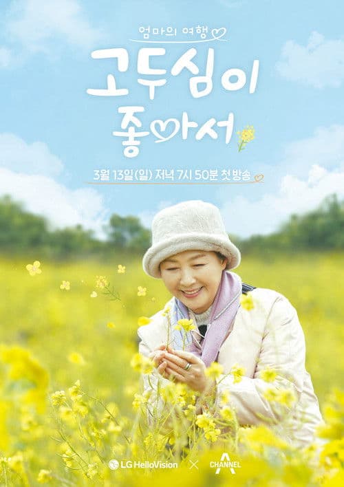 I Like Go Doo Shim Season 1 poster