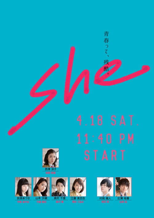 She Miniseries poster