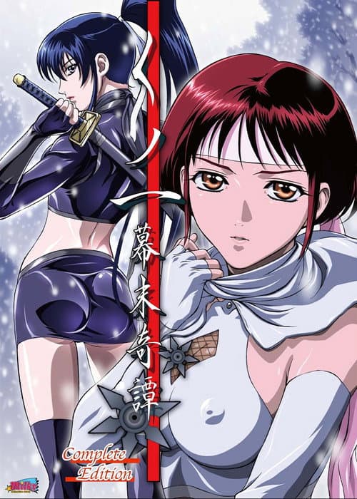 The Last Kunoichi Season 1 poster