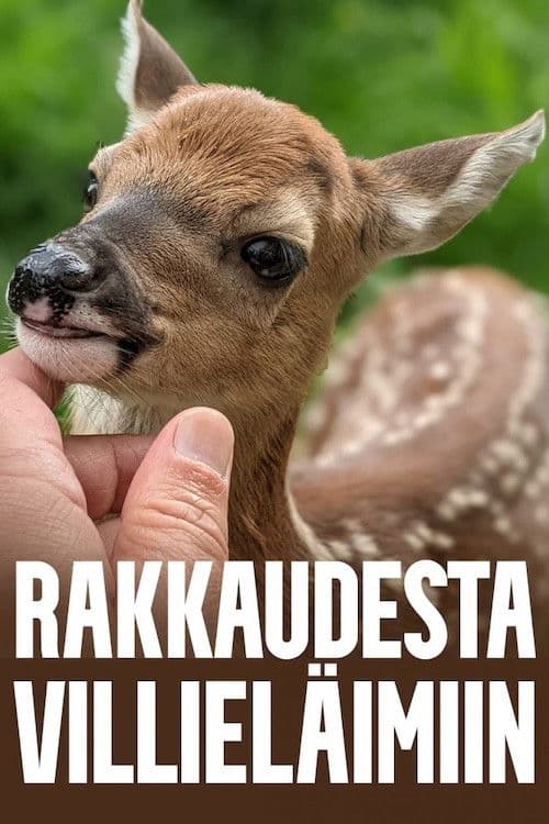 Rakkaudesta villieläimiin Season 1 poster