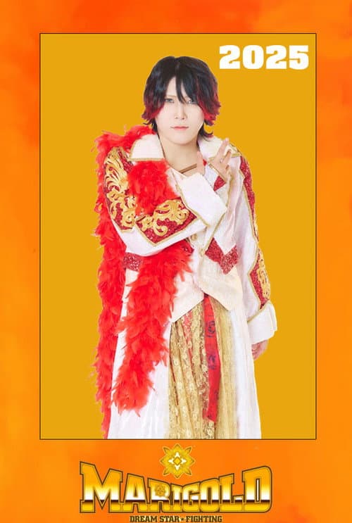 Dream Star★Fighting Marigold 2025 poster