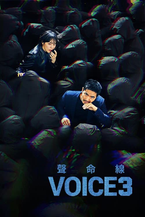 Voice City of Accomplices poster