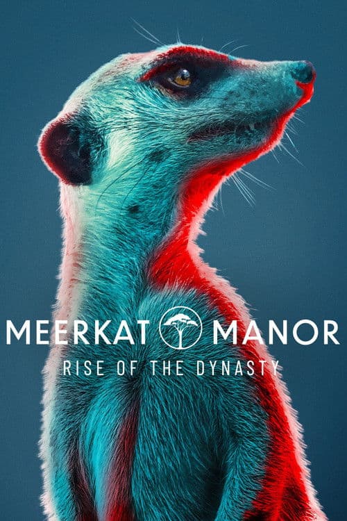 Meerkat Manor: Rise of the Dynasty Season 1 poster