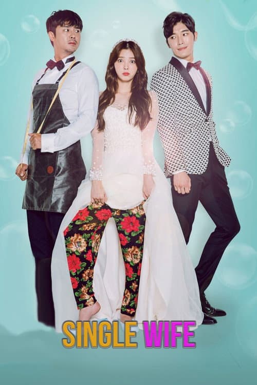 Single Wife Season 1 poster