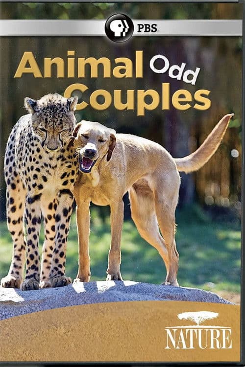 Animal Odd Couples Season 1 poster