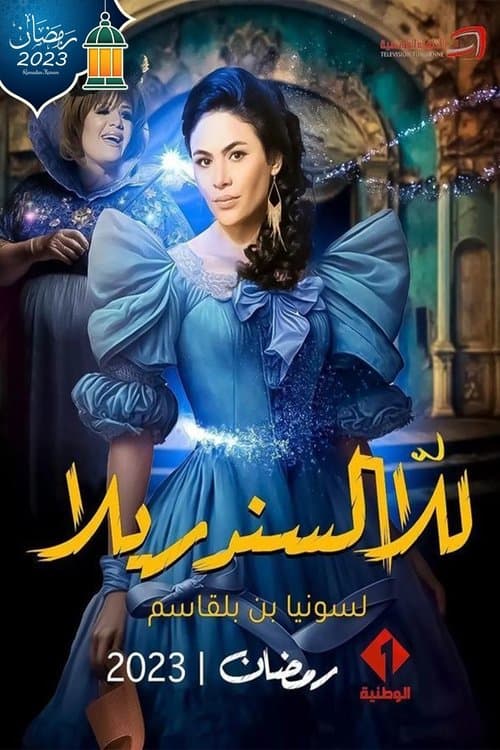 Lady Cinderella Season 1 poster