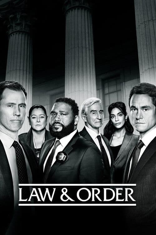 Law & Order Season 21 poster