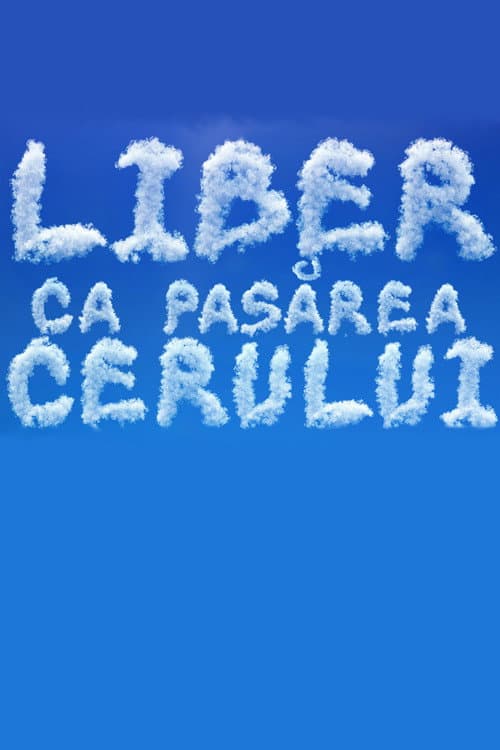 Liber ca pasărea cerului Season 1 poster