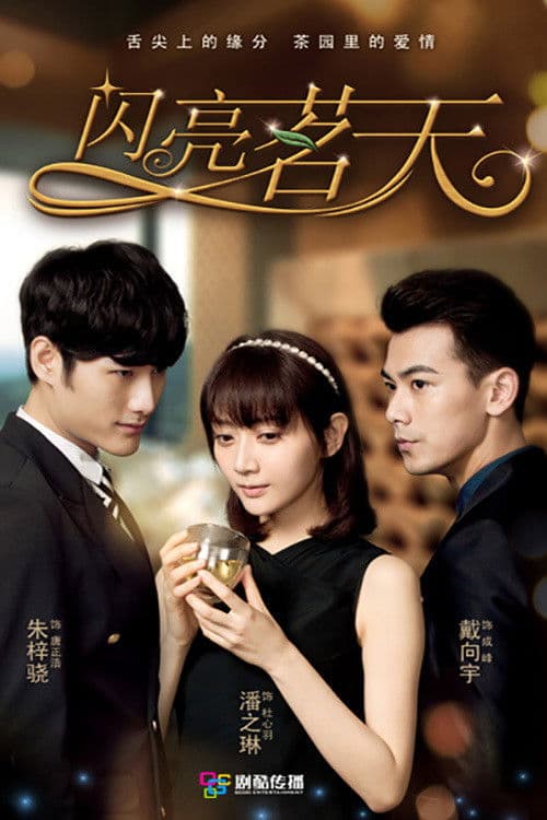 Tea Love Season 1 poster