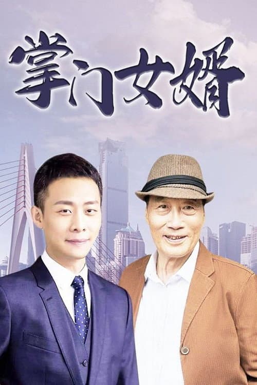 掌门女婿 Season 1 poster