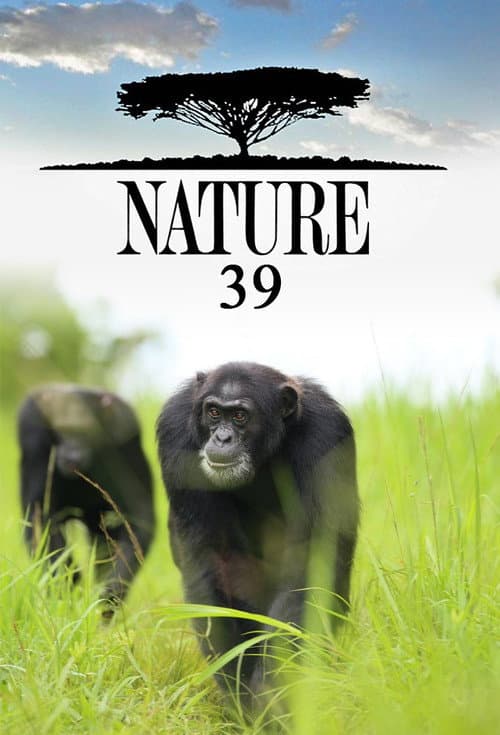 Nature Season 39 poster