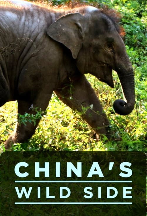 China's Wild Side Season 1 poster
