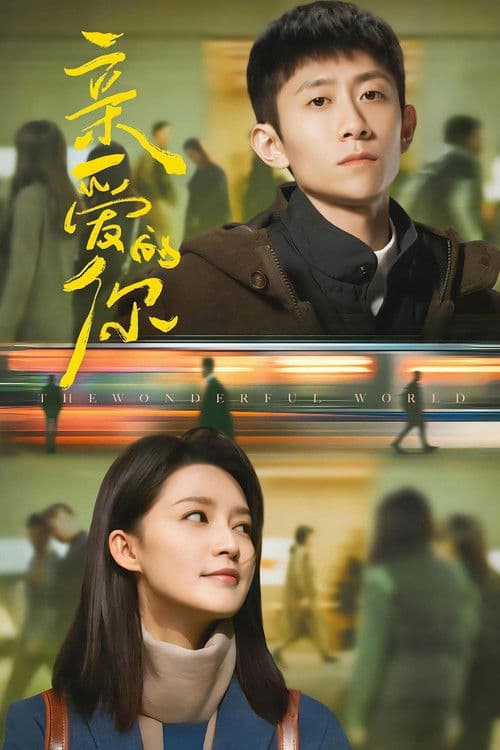 What a Wonderful World Season 1 poster