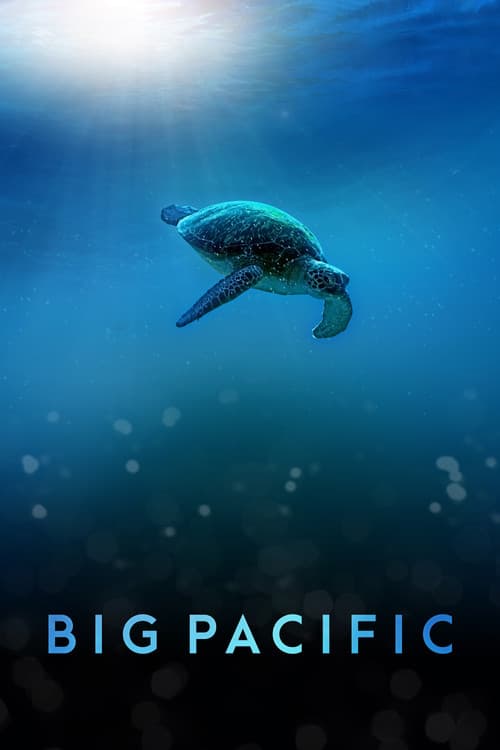 Big Pacific Big Pacific poster