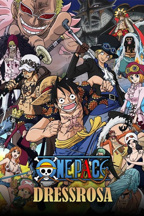 One Pace Dressrosa poster