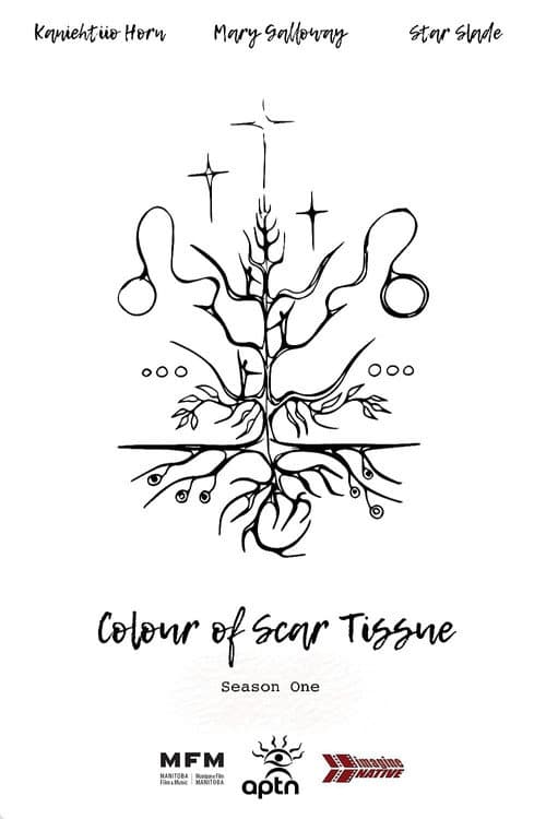 Colour of Scar Tissue Season 1 poster