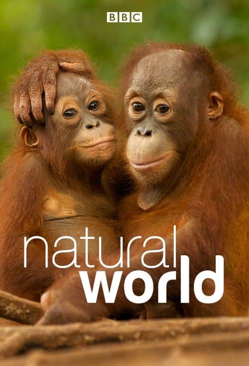 Natural World Season 39 poster